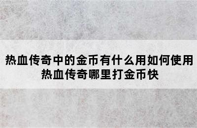 热血传奇中的金币有什么用如何使用 热血传奇哪里打金币快